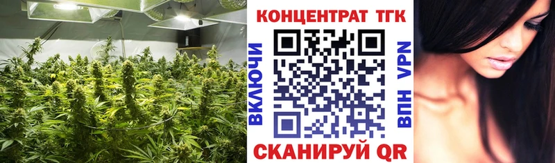 Купить закладки  Катав-Ивановск  ТГК вейп 