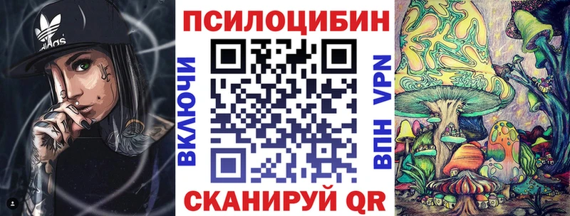 Купить закладки  Катав-Ивановск  Галлюциногенные грибы Psilocybine cubensis 